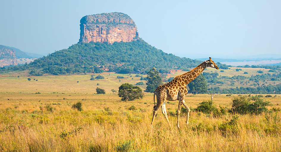 Sout Kitui Safari Kenya